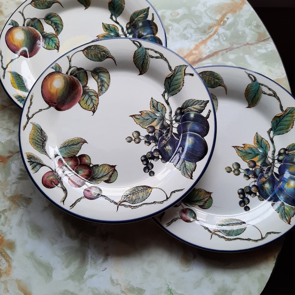 Set of 3 retired Pier 1 dinner plates